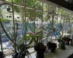 Apartamento 2 quartos Copacabana - Avam Imobiliária