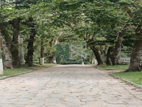 Apartamento 1 Quartos 30m² 
