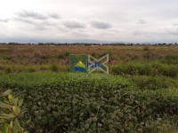 Terreno 355000m² Terreno 355000m²