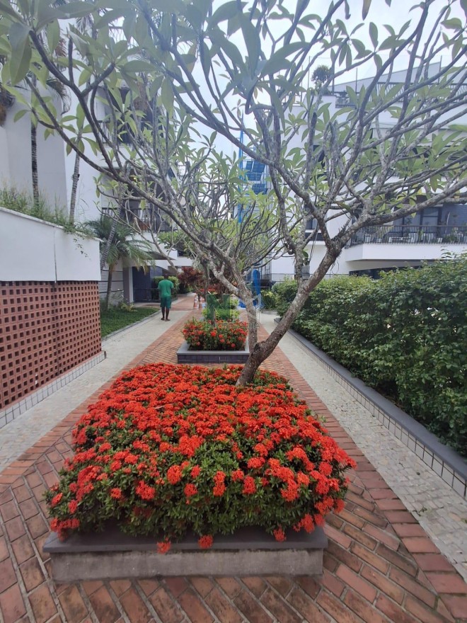 Apartamento 3 Quartos 85m² Apartamento 3 Quartos 85m²