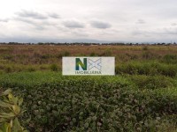 Terreno 355000m² Terreno 355000m²